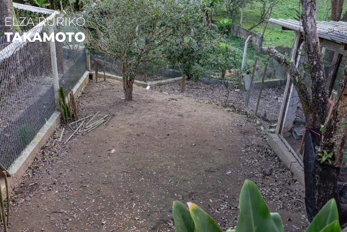 Chácara em , Mairinque - Foto 11